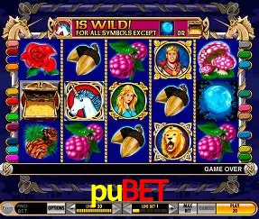 Descubra a Essência do pubet: Nossa História e Compromissos